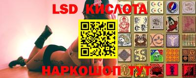 прущие крисы Заводоуковск