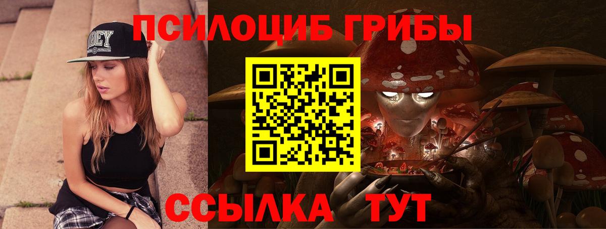 Псилоцибиновые грибы Magic Shrooms  Вход с VPN  Галлюциногенные грибы мицелий  купить наркотики сайты  Заводоуковск 